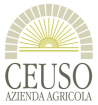Cantina Ceuso